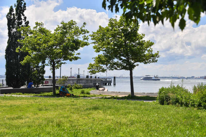 Lakeside park with trees, a small pier, and people relaxing near the water on a sunny day.
