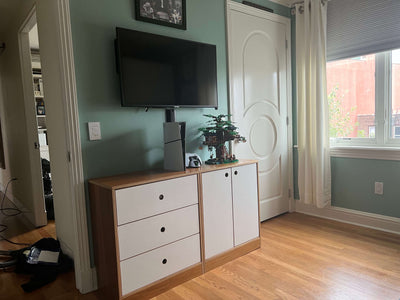 murpjy bed unit furniture piece