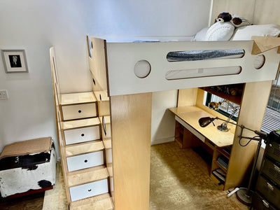 dumbo loft bed top view with desk and ladder