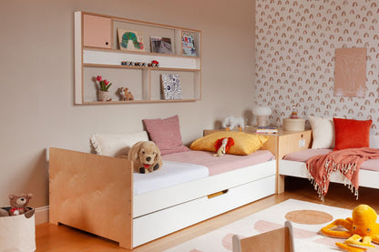 Curio Box- Horizontal-Casa Kids