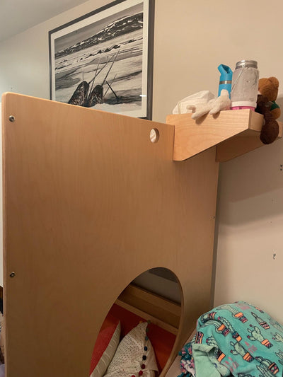 Loft Bed over Daybed with Ladder