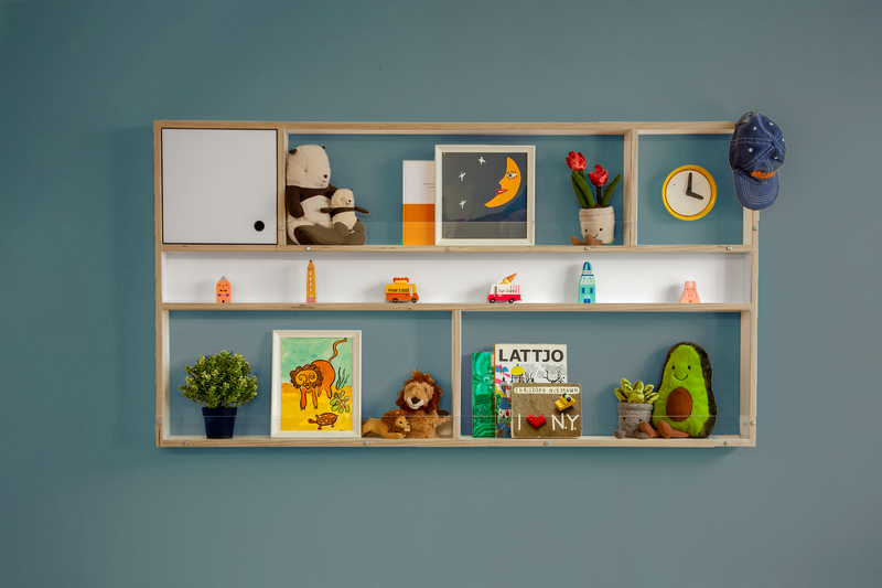 Curio Box- Horizontal-Casa Kids